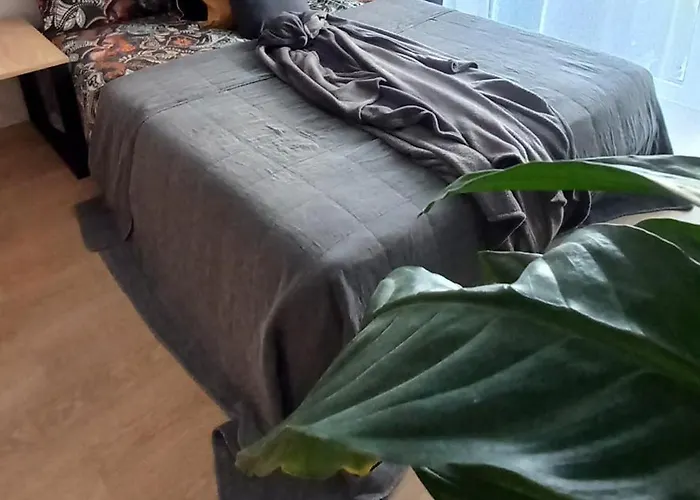 Sloneczny Apartament Poleska